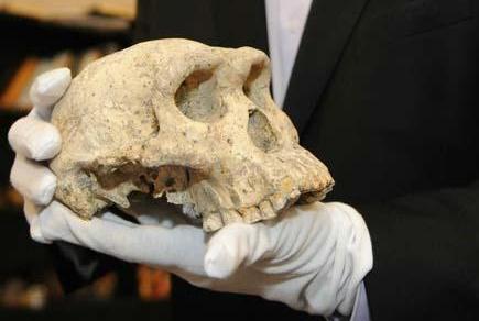 جمجمه انسان با قدمت یک هزار و 200 سال در گیلانغرب کشف شد