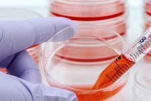  ثبت ‏نام اهداکنندگان سلول‏های بنیادین خون‏ساز در قصرشیرین