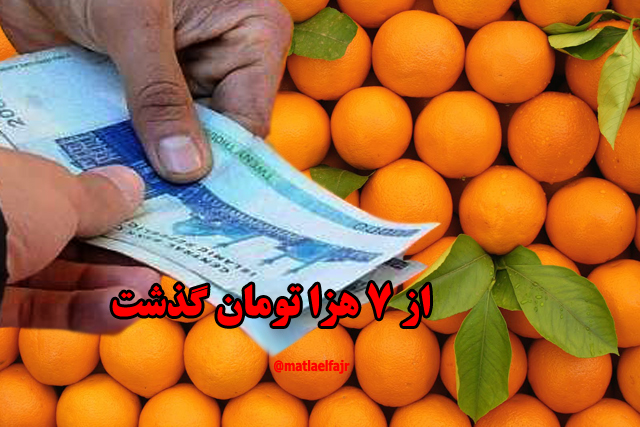 قیمت هر کیلو پرتقال در گیلان غرب از 7 هزارتومان گذشت/جای خالی نهادهای نظارتی در کنترل قیمتها