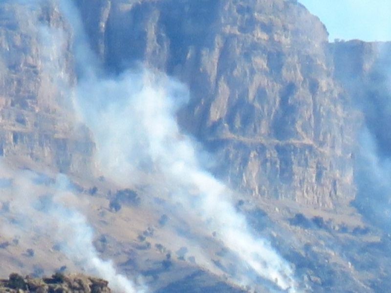 شعله ور شدن آتش در دامنه کوه "سرکش" گیلانغرب+ عکس
