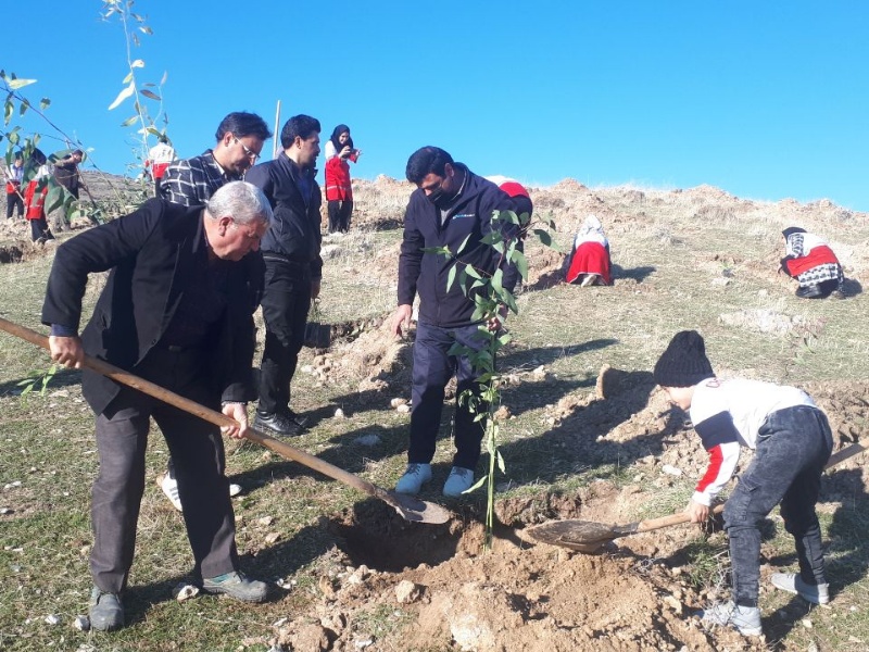 اجرای مرحله چهارم درخت کاری در گیلان غرب با یاد و نام شهدای کرمان+عکس
